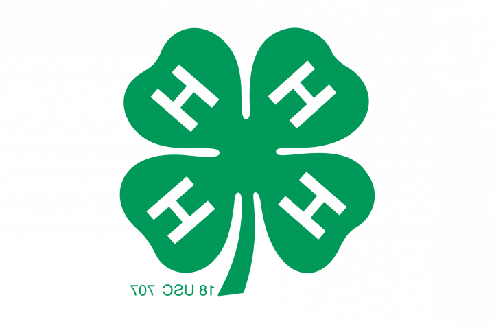 The 4-H logo, a green, four-leaf clover with a white, uppercase H in each leaf