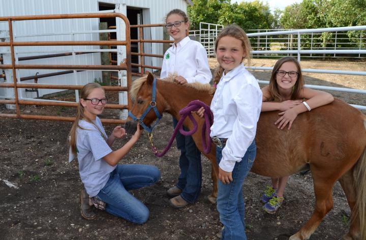 four girls with pony